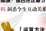 八字精批你们的前世缘今生情